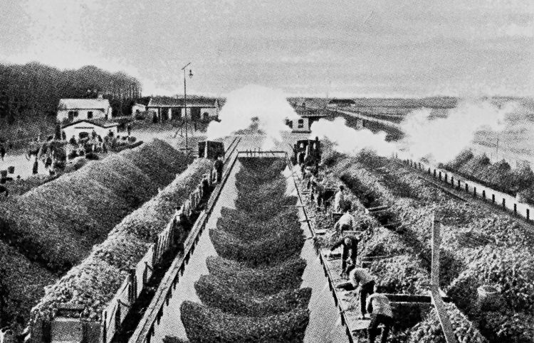 http://www.mjk-h0.dk/evp_ADdS/aflaesning_af_sukkerroer.1922..jpg