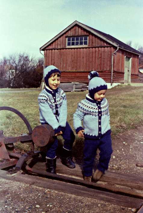 http://www.mjk-h0.dk/evp_Nips/sporskiftetraekbuk%20med%20laas.nkj.jpg