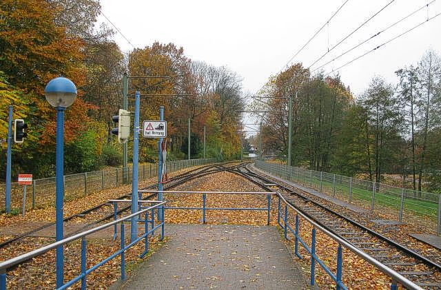 http://www.mjk-h0.dk/evp_SHS_Biel/img_2859.jpg
