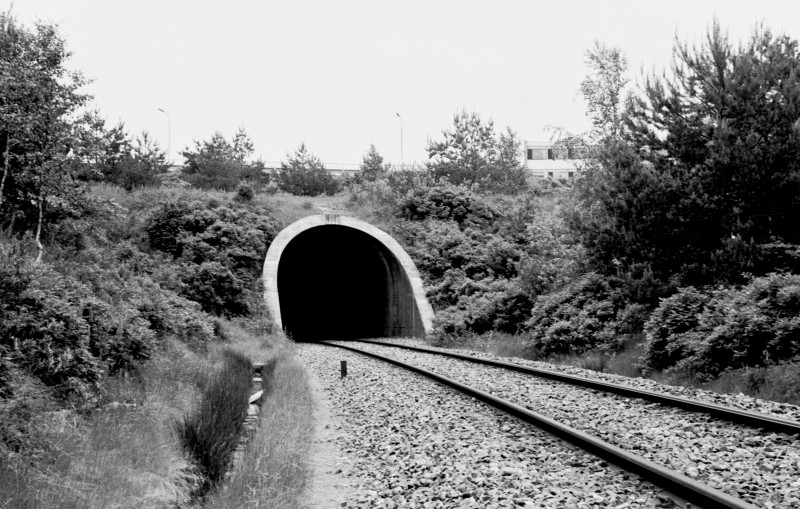 http://www.mjk-h0.dk/evp_SVJ/249-505.iii.17a.dsb.tunnellen_v.skive.12.6.1976..jpg