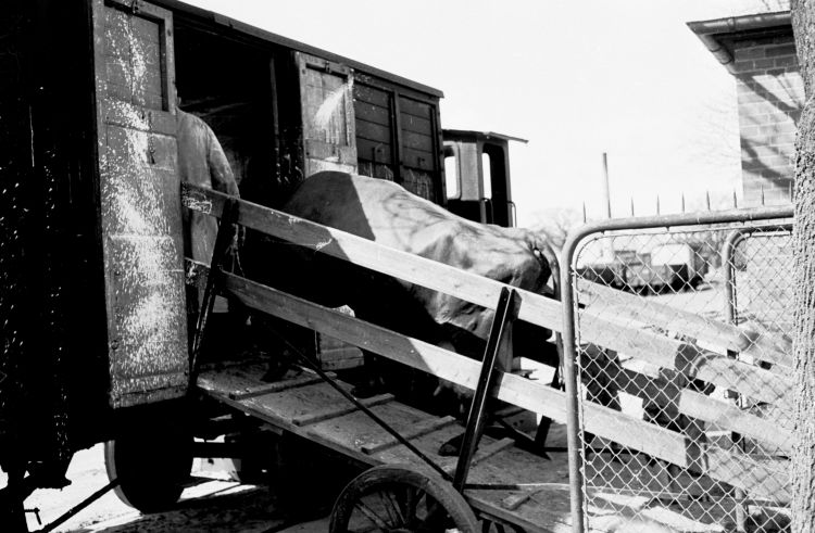 http://www.mjk-h0.dk/evp_So-Ve/20.i.29.den_sidste_rejse.so-by.april1957.jpg